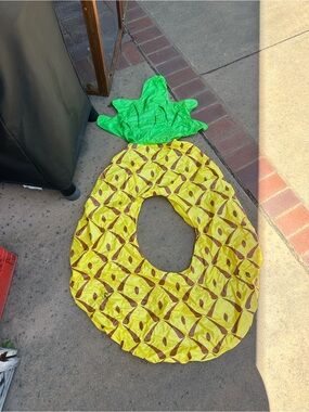 Pineapple Pool Float